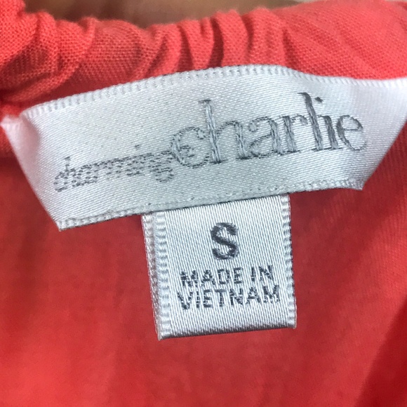 Charming Charlie Dress - Picture 5 of 7